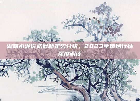 湖南水泥价格最新走势分析，2023年市场行情深度解读