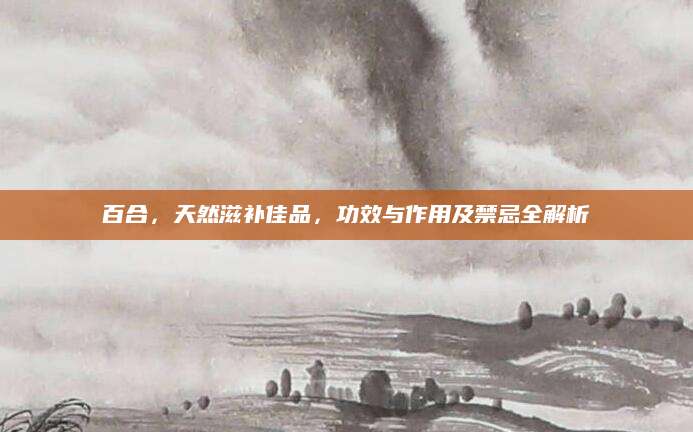 百合，天然滋补佳品，功效与作用及禁忌全解析