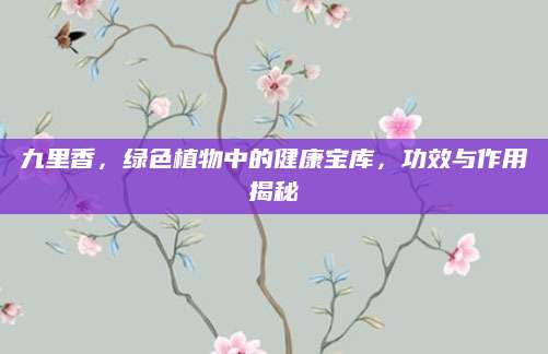 九里香，绿色植物中的健康宝库，功效与作用揭秘