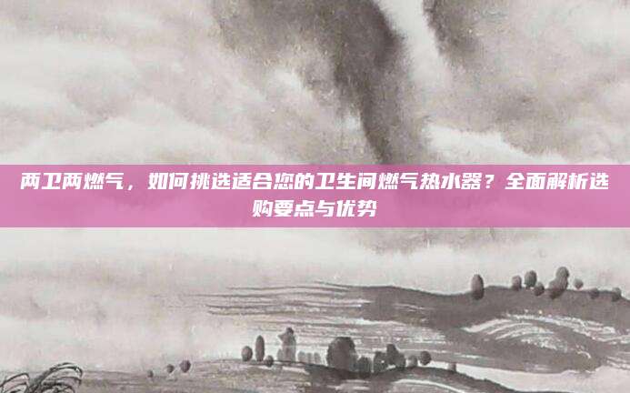 两卫两燃气，如何挑选适合您的卫生间燃气热水器？全面解析选购要点与优势