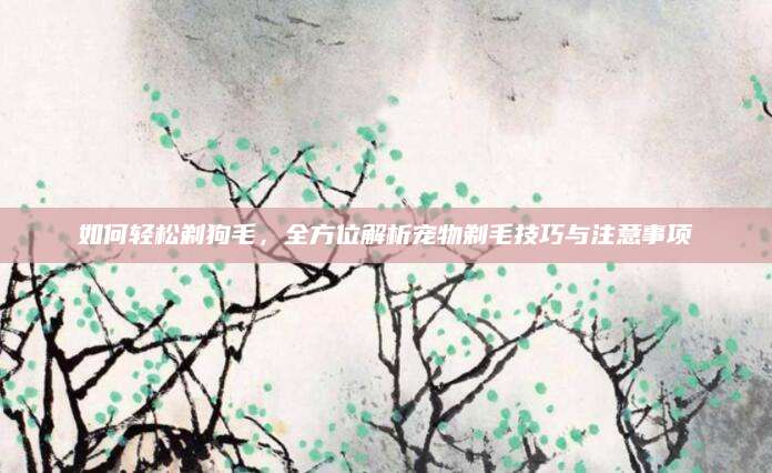 如何轻松剃狗毛，全方位解析宠物剃毛技巧与注意事项