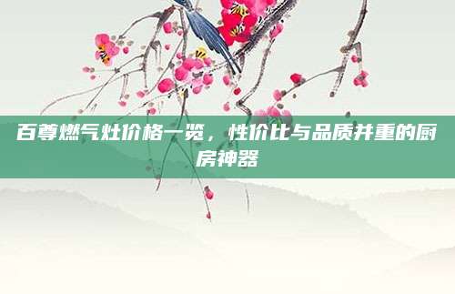 百尊燃气灶价格一览，性价比与品质并重的厨房神器