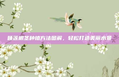 睡莲根茎种植方法图解，轻松打造美丽水景