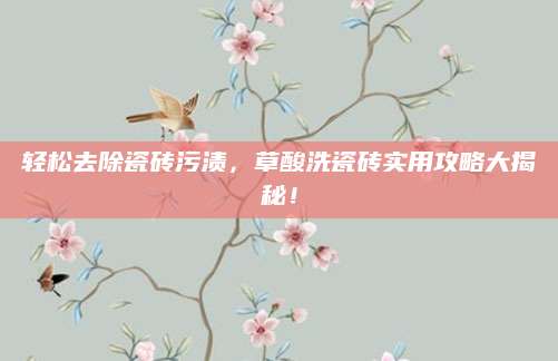 轻松去除瓷砖污渍，草酸洗瓷砖实用攻略大揭秘！