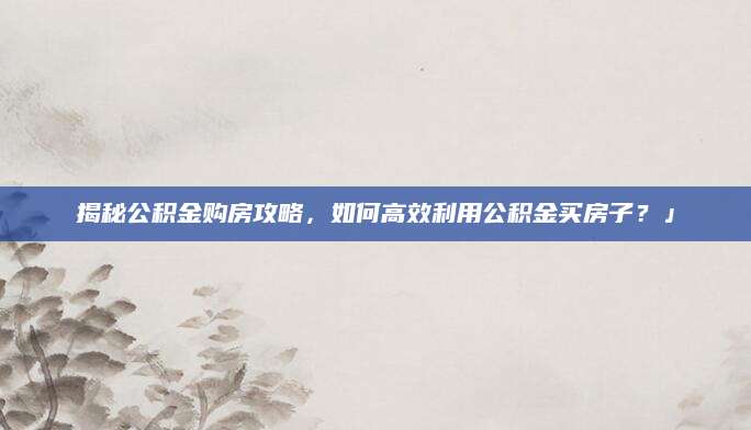 揭秘公积金购房攻略，如何高效利用公积金买房子？」