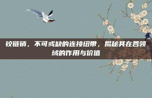 铰链销，不可或缺的连接纽带，揭秘其在各领域的作用与价值