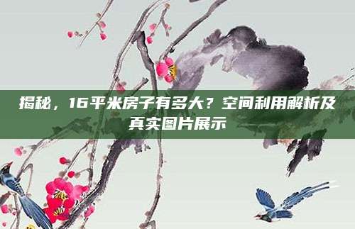 揭秘，16平米房子有多大？空间利用解析及真实图片展示