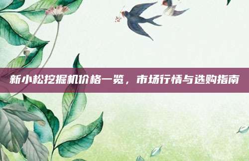 新小松挖掘机价格一览，市场行情与选购指南