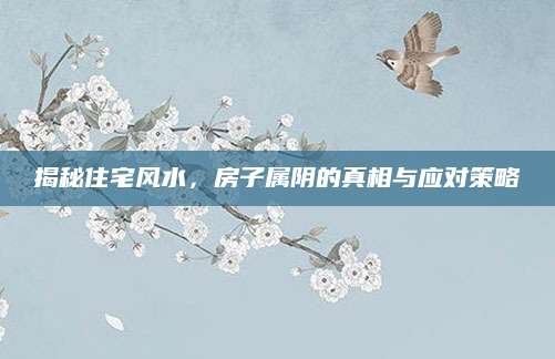 揭秘住宅风水，房子属阴的真相与应对策略