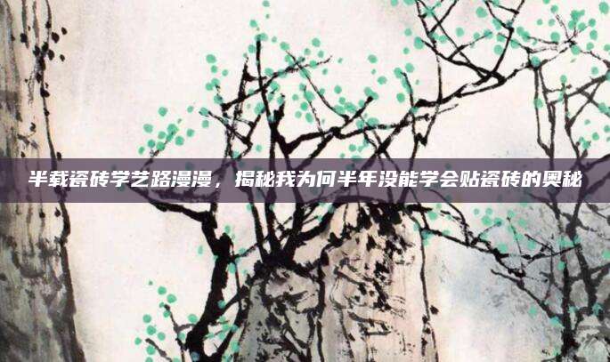 半载瓷砖学艺路漫漫，揭秘我为何半年没能学会贴瓷砖的奥秘