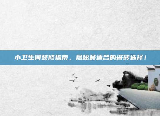 小卫生间装修指南，揭秘最适合的瓷砖选择！