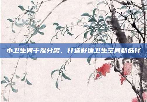 小卫生间干湿分离，打造舒适卫生空间新选择