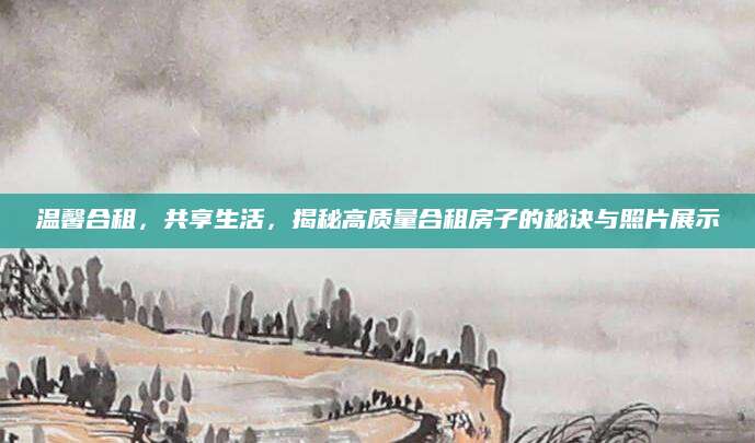 温馨合租，共享生活，揭秘高质量合租房子的秘诀与照片展示