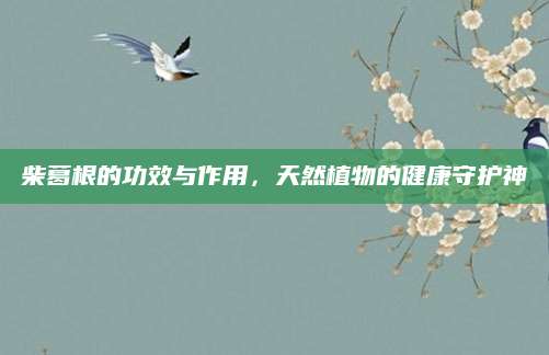柴葛根的功效与作用，天然植物的健康守护神