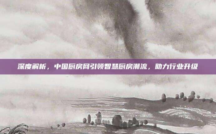 深度解析，中国厨房网引领智慧厨房潮流，助力行业升级