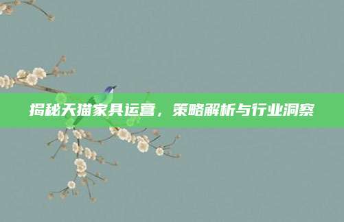 揭秘天猫家具运营，策略解析与行业洞察