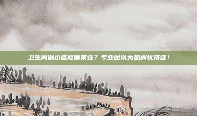 卫生间漏水维修哪家强？专业团队为您解忧排难！
