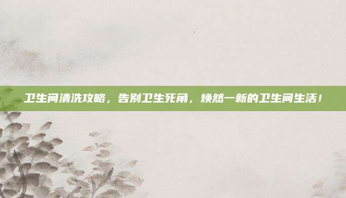 卫生间清洗攻略，告别卫生死角，焕然一新的卫生间生活！