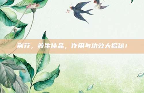 荆芥，养生佳品，作用与功效大揭秘！