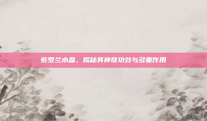 紫罗兰水晶，揭秘其神奇功效与多重作用