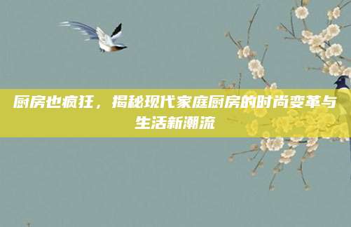 厨房也疯狂，揭秘现代家庭厨房的时尚变革与生活新潮流