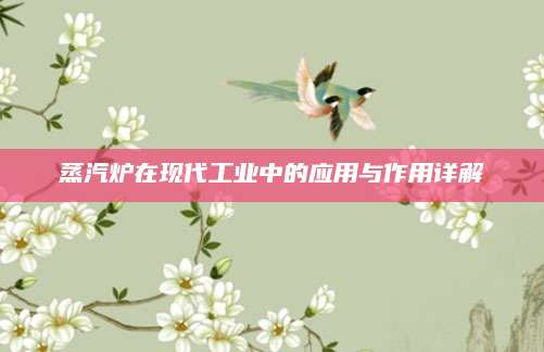 蒸汽炉在现代工业中的应用与作用详解