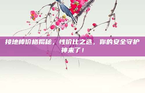 接地棒价格揭秘，性价比之选，你的安全守护神来了！