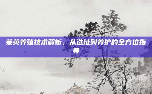 茱萸养殖技术解析，从选址到养护的全方位指导