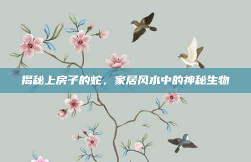 揭秘上房子的蛇，家居风水中的神秘生物