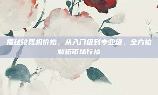 揭秘跳舞机价格，从入门级到专业级，全方位解析市场行情