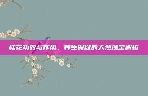 桂花功效与作用，养生保健的天然瑰宝解析