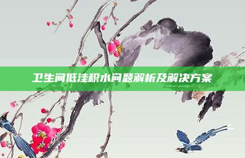 卫生间低洼积水问题解析及解决方案