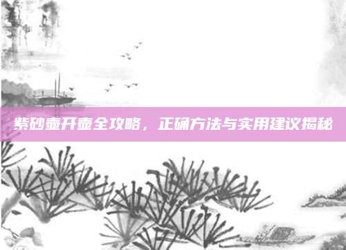紫砂壶开壶全攻略，正确方法与实用建议揭秘