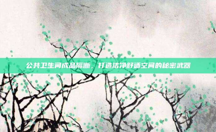 公共卫生间成品隔断，打造洁净舒适空间的秘密武器