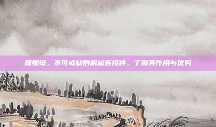 扁螺母，不可或缺的机械连接件，了解其作用与优势