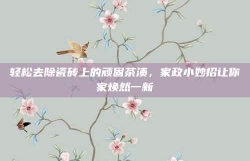 轻松去除瓷砖上的顽固茶渍，家政小妙招让你家焕然一新