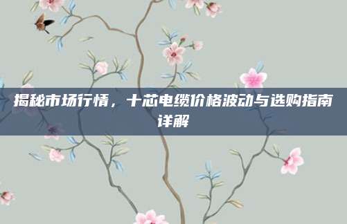 揭秘市场行情，十芯电缆价格波动与选购指南详解