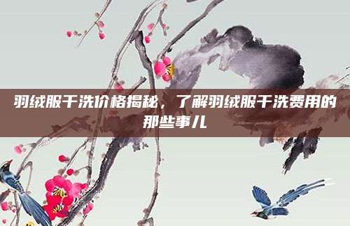 羽绒服干洗价格揭秘，了解羽绒服干洗费用的那些事儿