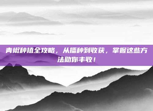 青椒种植全攻略，从播种到收获，掌握这些方法助你丰收！