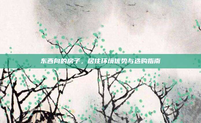 东西向的房子，居住环境优势与选购指南