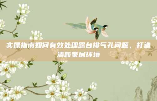 实操指南如何有效处理露台排气孔问题，打造清新家居环境