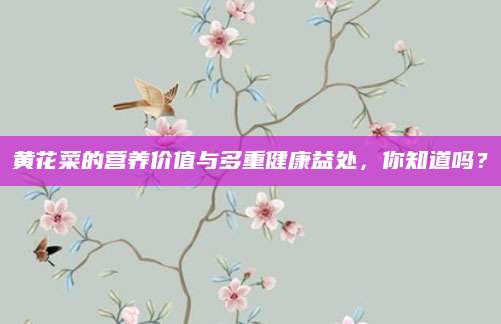黄花菜的营养价值与多重健康益处，你知道吗？