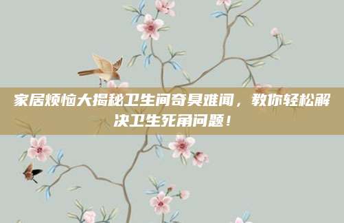 家居烦恼大揭秘卫生间奇臭难闻，教你轻松解决卫生死角问题！