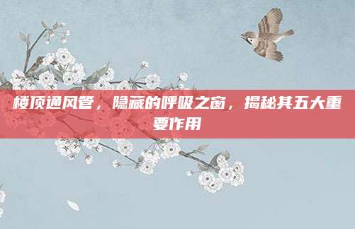楼顶通风管，隐藏的呼吸之窗，揭秘其五大重要作用