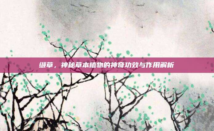 缬草，神秘草本植物的神奇功效与作用解析