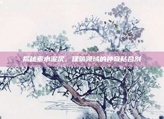 揭秘素水泥浆，建筑领域的神奇粘合剂