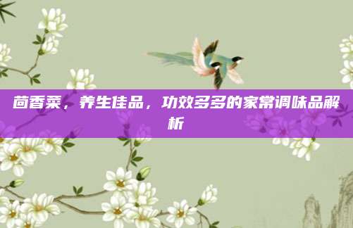 茴香菜，养生佳品，功效多多的家常调味品解析