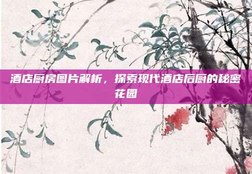 酒店厨房图片解析，探索现代酒店后厨的秘密花园