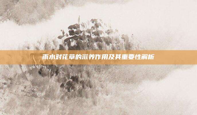 雨水对花草的滋养作用及其重要性解析