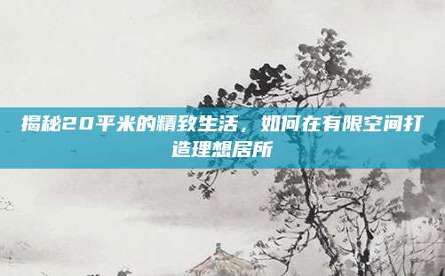 揭秘20平米的精致生活，如何在有限空间打造理想居所
